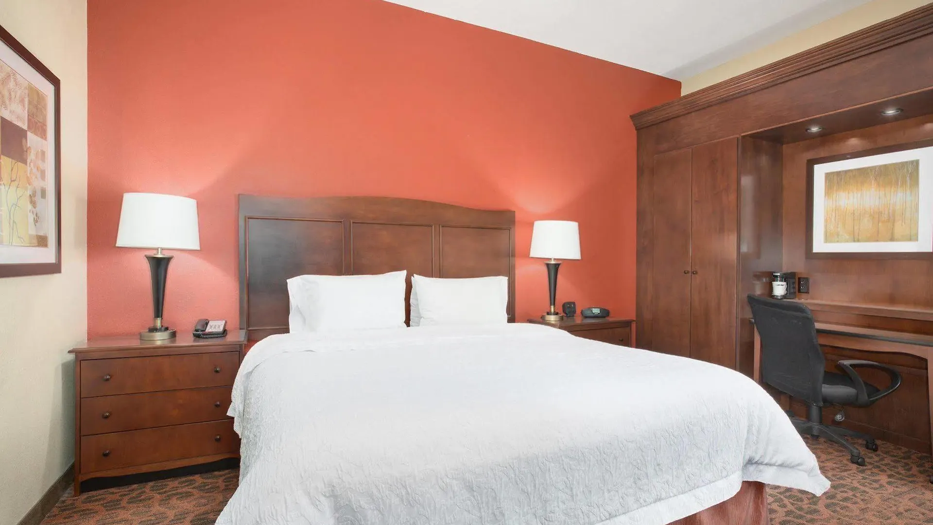 Hampton Inn Denver-International Airport DEN